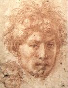 Andrea del Sarto Head of a Young Man china oil painting reproduction